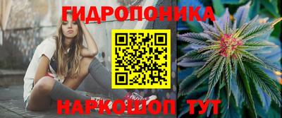 apvp Можга