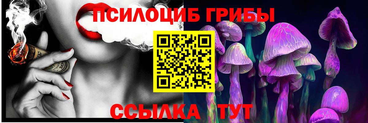 Фрязино  Галлюциногенные грибы Psilocybine cubensis  Галлюциногенные грибы мухоморы  Вход с VPN 